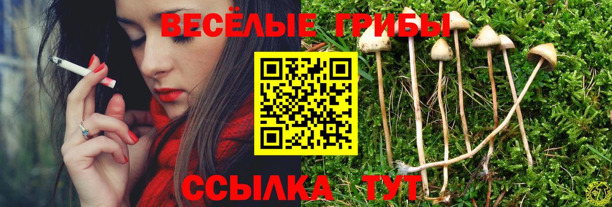 Псилоцибиновые грибы Psilocybine cubensis Уварово