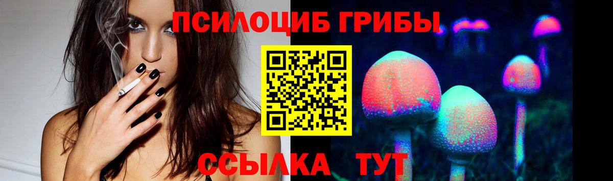 Уварово  Галлюциногенные грибы Psilocybine cubensis  Вход с VPN 