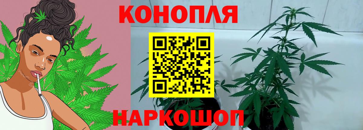 Шишки марихуана VHQ  Марихуана AK-47  Вход с VPN  Конопля White Widow  Уварово 